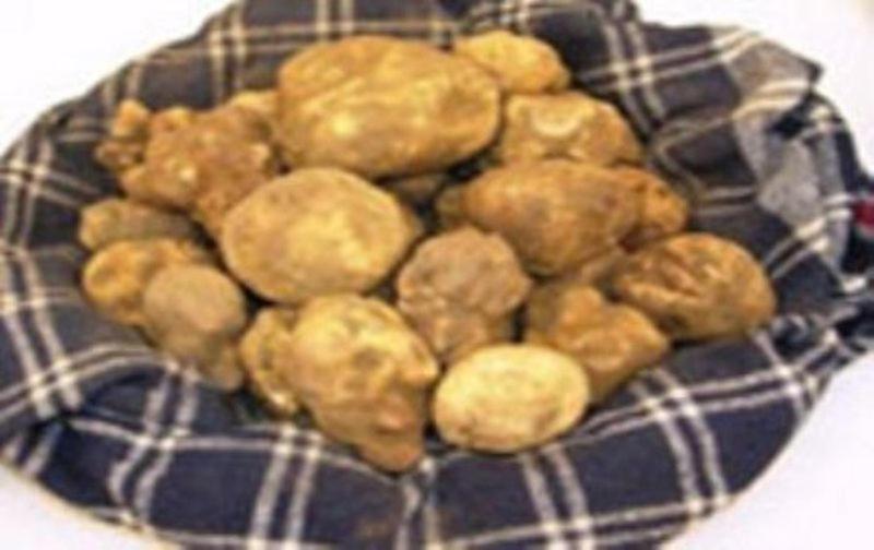 Albergotto Natalina Grazzano Badoglio Luaran gambar